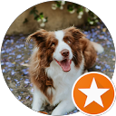 Lauren G profile picture